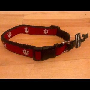 University of Indiana Dog Collar